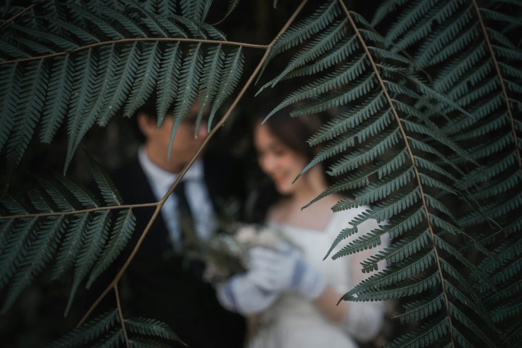 Jossefina, tu floristería en Valencia 